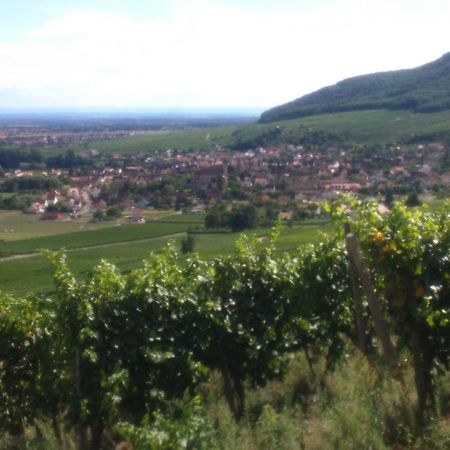 Orschwihr Gites & Chambes D'Hotes Fugler מראה חיצוני תמונה